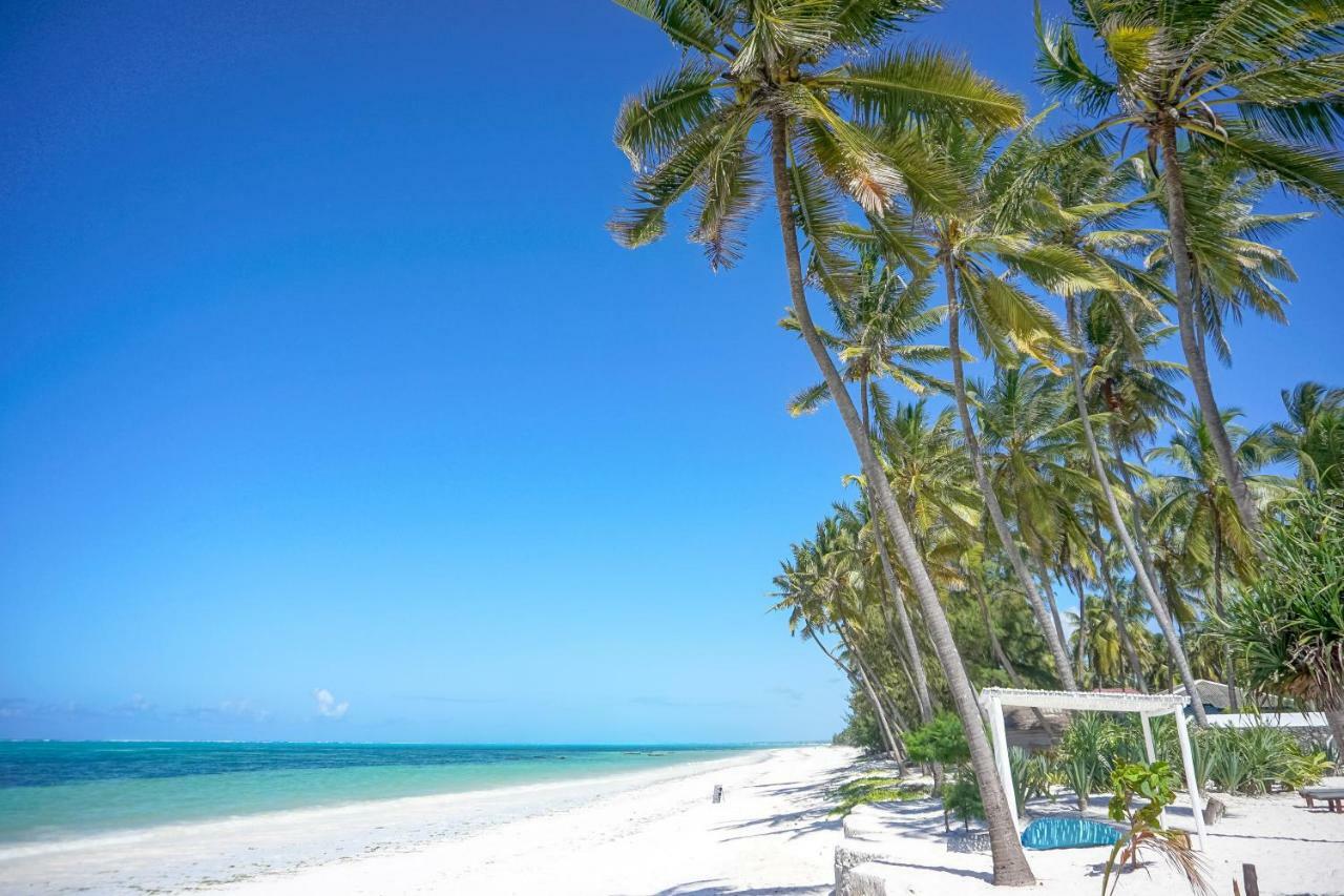 בווג'ו Indigo Beach Zanzibar מראה חיצוני תמונה